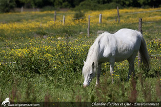 al-garamaze-gites-ch-img14.jpg