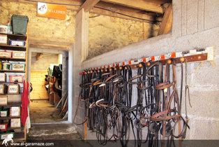 al-garamaze-centre-equestre-img07.jpg