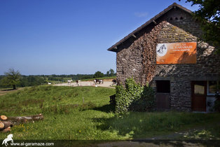 al-garamaze-centre-equestre-img08.jpg