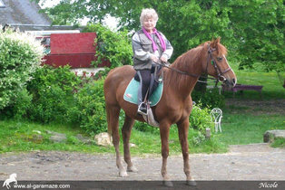 al-garamaze-centre-equestre-img13b.jpg