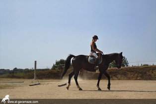 al-garamaze-centre-equestre-img14.jpg
